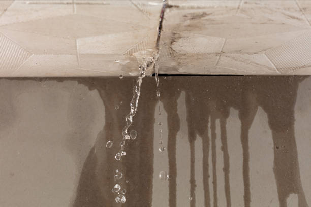 Professional Water Damage Inspection technician working in Trout Lake, WA
